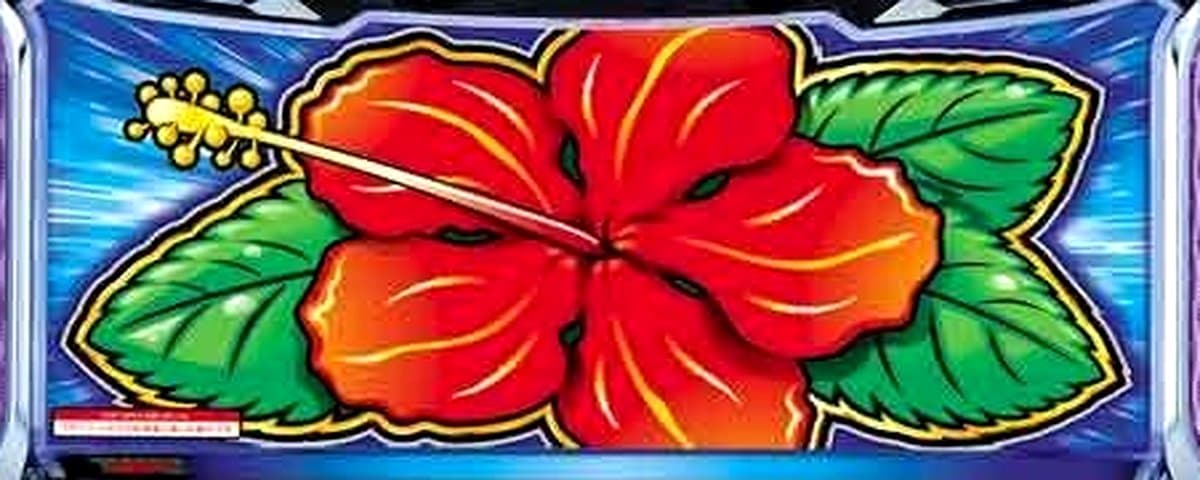 ハイビリターン‐30