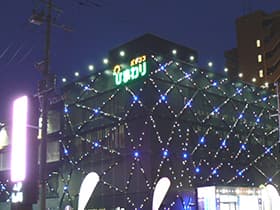 豊平 ひまわり