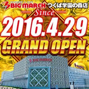 ビックマーチつくば学園の森店